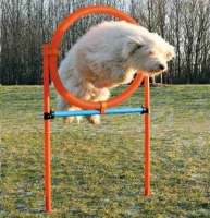 AGILITY