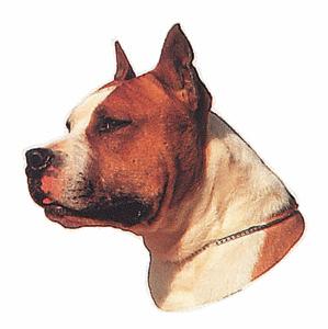 AUTOCOLANTE AMERICAN STAFFORSHIRE TERRIER II*