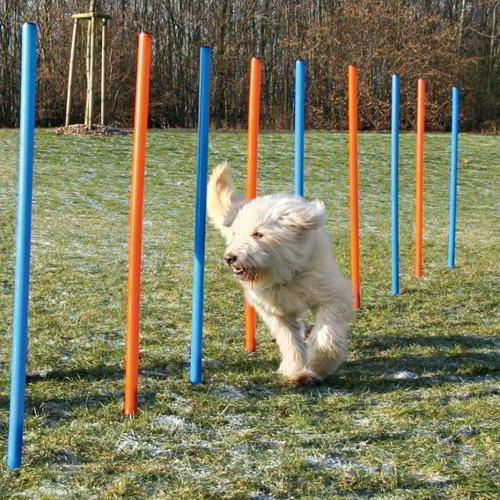 BARRAS SLALOM AGILITY