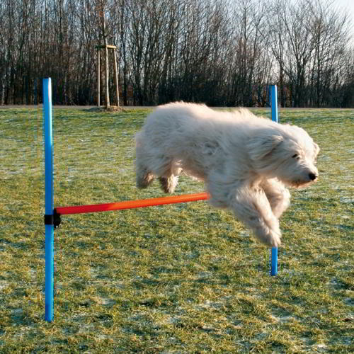 BARREIRA AGILITY