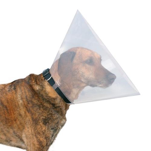 CONE VETERINARIO