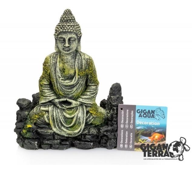 GIGANAQUA BUDHA 17 CM