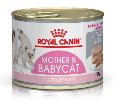 ROYAL CANIN CAT WET MOTHER & BABYCAT 12 x 195 GR