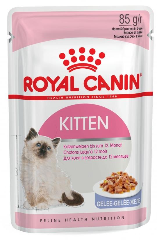 ROYAL CANIN CAT WET KITTEN JELLY 12 x 85 GR