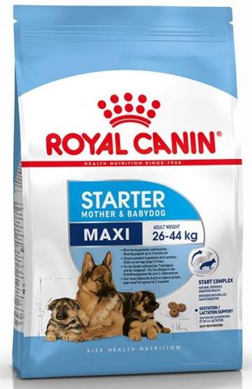 ROYAL CANIN MAXI STARTER