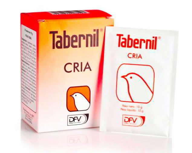 TABERNIL CRIA