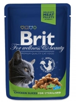 BRIT CAT SALMON & TROUT 100 GR