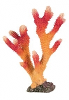 CORAL ARTIFICIAL V