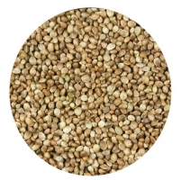 SEMENTES DE CÂNHAMO 1 KG AVULSO