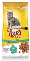 LARA ADULT INDOOR
