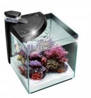 NEWA MORE REEF 30