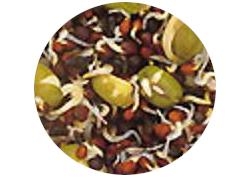 SEMENTES DE GERMINAR 1 KG