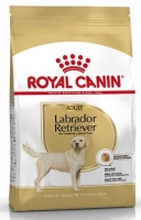 ROYAL CANIN LABRADOR