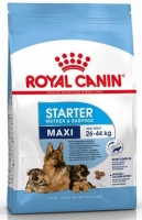 ROYAL CANIN MAXI STARTER