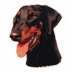 AUTOCOLANTE DOBERMAN*