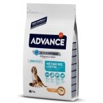 ADVANCE MOTHER DOG & INITIAL