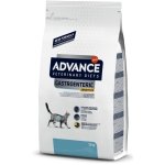 ADVANCE VET CAT GASTROENTERIC