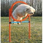 ANEL DE SALTO DE AGILITY