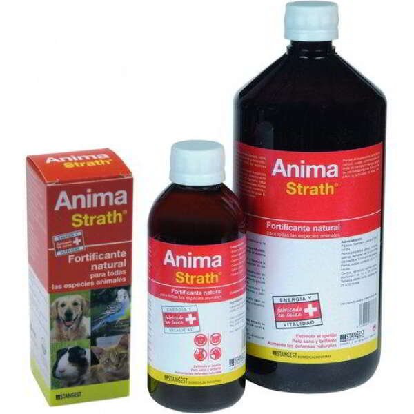 ANIMA STRATH - Image 1