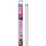 ARCADIA ORIGINAL TROPICAL