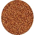 MANITOBA CAMELINA SATIVA 1 KG