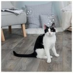 BOLHAS DE SABÃO COM CATNIP 120 ML