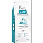 BRIT CARE GRAINFREE SALMON & POTATO 12KG