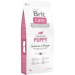 BRIT CARE GRAINFREE PUPPY SALMON & POTATO 12KG