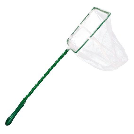 camaroeiro CAMAROEIRO - Image 1