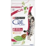 CAT CHOW URINARY TRACT HEALTH