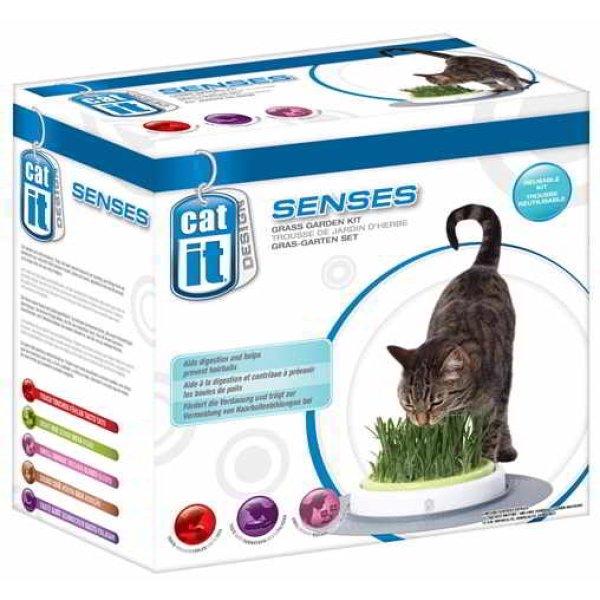 CAT IT SENSES - GRASS GARDEN - Image 1