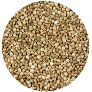 SEMENTES DE CÂNHAMO 1 KG AVULSO