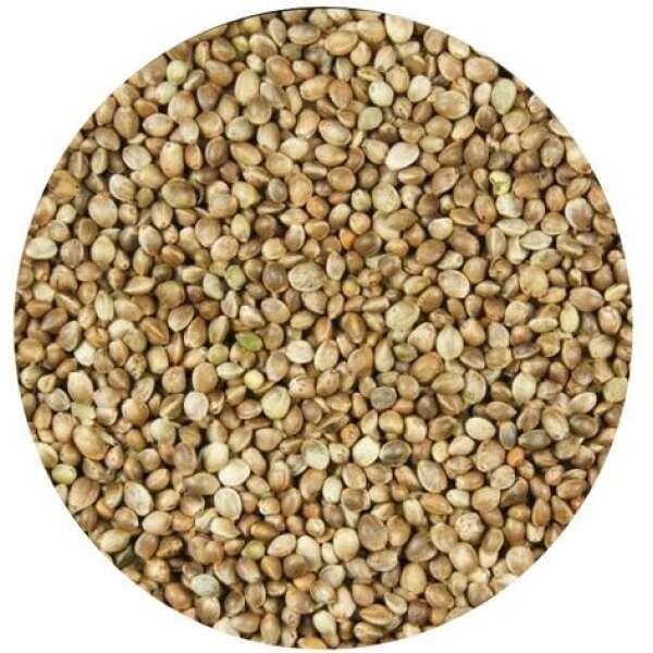 SEMENTES DE CÂNHAMO 1 KG AVULSO - Image 1
