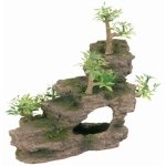 ESCARPA ROCHOSA ALTA C/ CAVIDADES E PLANTAS 19 CM