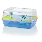 FOP TARTARUGUEIRA CORFU