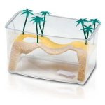 FOP TARTARUGUEIRA NAXOS