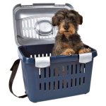 FRIENDS ON TOUR MIDI-CAPRI