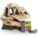 GIGANTERRA DINOSSAURO 1