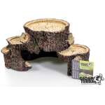 GIGANTERRA GRUTA RAIZES L