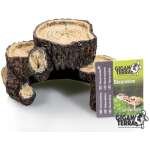 GIGANTERRA GRUTA RAIZES S