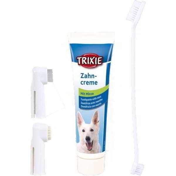 KIT HIGIENE DENTARIA - Image 1