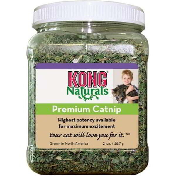 KONG CATNIP PREMIUM - Image 1