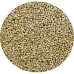 MILHO ALVO JAPONÊS PREMIUM 1 KG