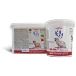 RAGGIO DI SOLE GRANIMBECCO