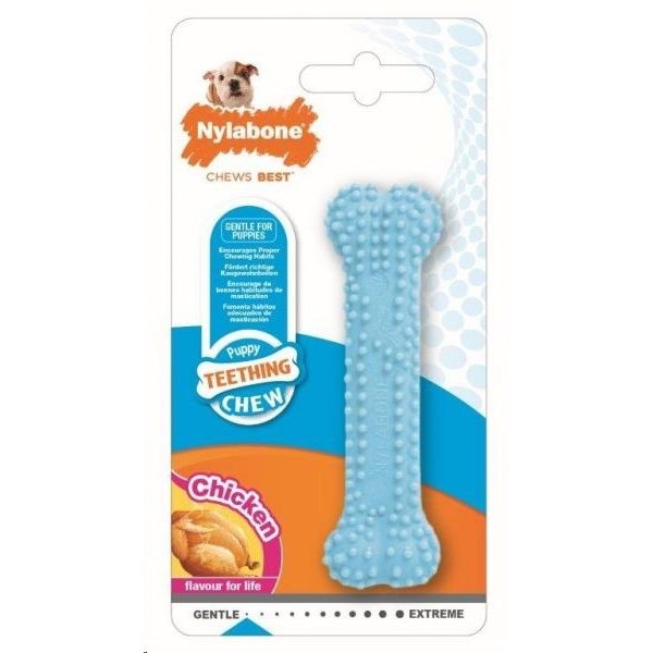NYLABONE PUPPY DENTAL XS AZUL - Image 1