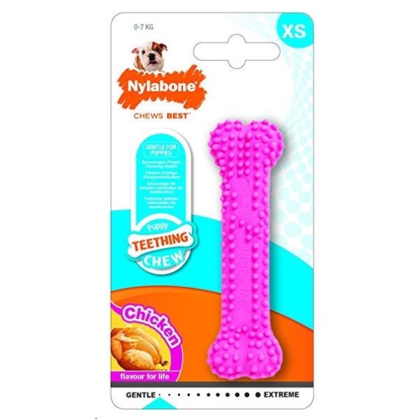 NYLABONE PUPPY DENTAL XS ROSA - Image 1