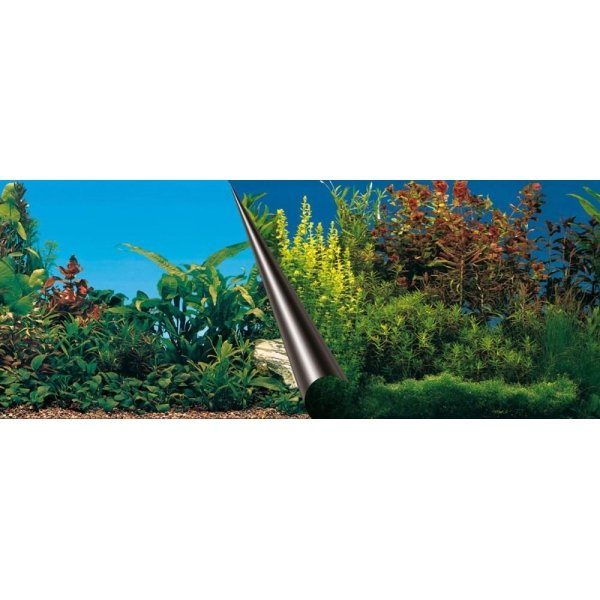POSTER PLANTADO - Image 1