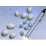 QUIKO OVOSCOPIO CANETA