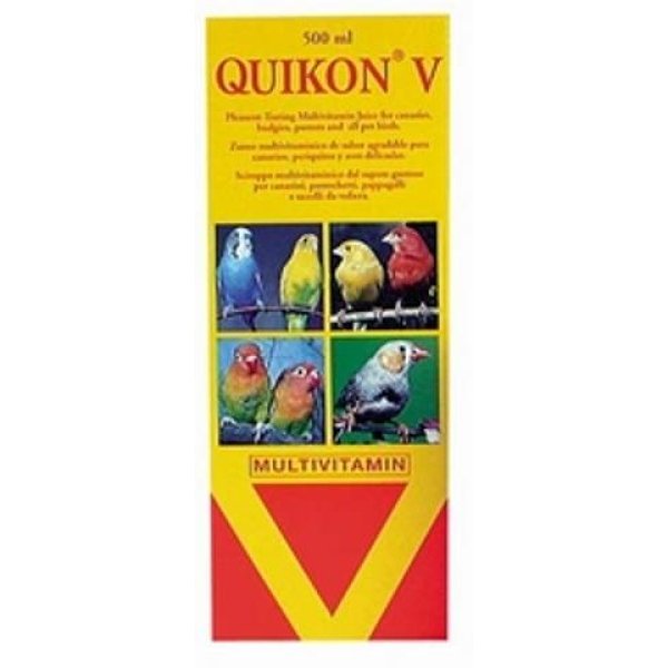 QUIKO V - Image 1