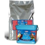 RAGGIO DI SOLE TH WORLD